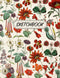 Floral Sketchbook: Large Blank Paper Drawing Notebook for Art, Doodling, and Designing | Aesthetic Botanical Design Sketching Journal for Adults a...