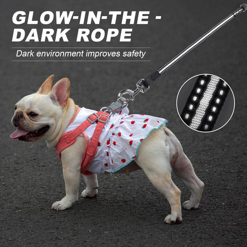 Retractable Dog Leash, 20 FT Dog Walking Leash for Small/Medium Dog or Cat up to 44 lbs, Strong Nylon Cord, Tangle Free, One-Hand Brake...
