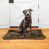 Vintage Leopard Print Dog Bed Cat Bed, Rectangle Comfortable Pet Bed, Ultra Soft Calming Dog Bed for Small Medium Large Dogs, 36" x 24"...
