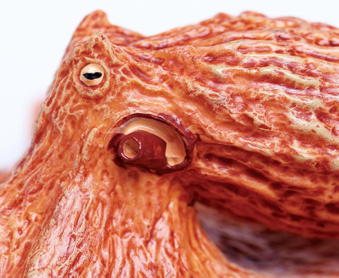 Safari Ltd. Giant Pacific Octopus Figurine - Lifelike 8" Model Figure - Educational Toy for Boys, Girls, and Kids Ages 3+...
