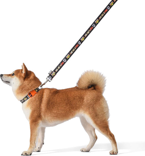 Star Wars for Pets The Mandalorian This is The Way 6 Foot Dog Leash | Orange 6 Ft Dog Leash Easily Attaches to Any Dog Collar or Harness | Mandalo...