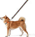 Star Wars for Pets The Mandalorian This is The Way 6 Foot Dog Leash | Orange 6 Ft Dog Leash Easily Attaches to Any Dog Collar or Harness | Mandalo...