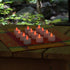 LumaBase Battery Operated Tea Light Candles, Pink - Set of 12...