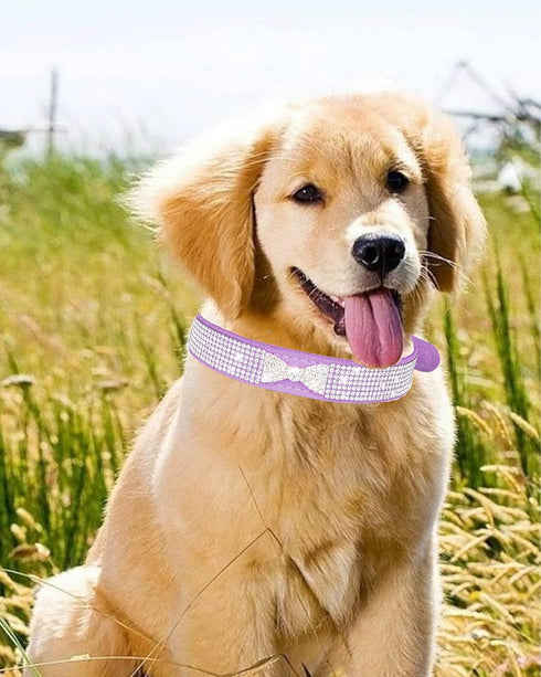 Dog Collar for Small Dogs, Adjustable Leather Suede Bling Dog Collars?Pink Dog Collar Cat Collar, Rhinestone Dog Collar (XS, black4)...