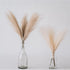ChagoArt-Pampas Grass Decor Tall-Faux Pampas Grass Small 17"-6 Stems-Beige and Taupe-Brown-Pompas Floral-Fake Pampas Grass-Artificial Pampas Grass...