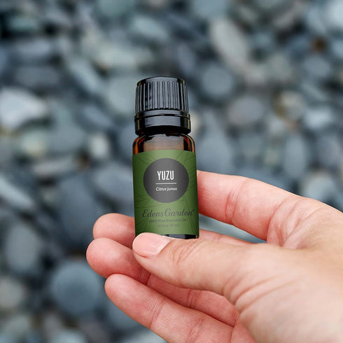 Edens Garden Yuzu Essential Oil- 100% Pure Premium Grade, Undiluted, Natural, Therapeutic, Aromatherapy, The Best for Diffuser, Candle, Laundry, K...