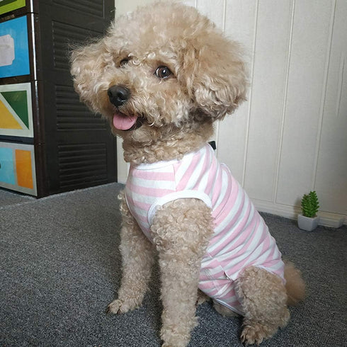 Dog Recovery Suit Post Surgery Shirt for Puppy, Wound Protective Clothes for Animals(pink white stripe-XL)...