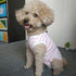 Dog Recovery Suit Post Surgery Shirt for Puppy, Wound Protective Clothes for Animals(pink white stripe-XL)...