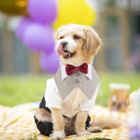 Dog Tuxedo Collar with Bow Tie, 1 Pack Brown Dog Tuxedo Collar with Bowtie Soft Formal Pet Cats Necktie Collar for Dog Wedding Grooming Bows Birth...