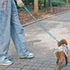 7FT Chew Proof Stretch Dog Leash Cable, Reflective Anti-Pull Shock Absorbing Dog Lead, Lightweight Cute Pet Leash with Soft Wide Nylon Handle for ...