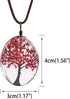 Life of Tree Multi Colors Queen Anne's Lace Dried Flowers Oval Pendant Necklace (4 Colors)...