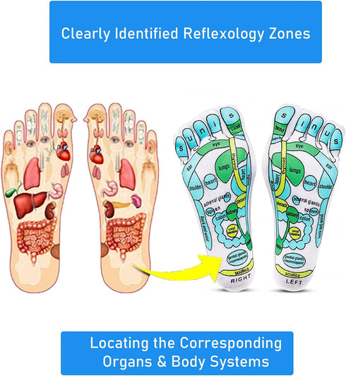 Acupressure Reflexology Socks for Women & Men Foot Massage Five Toe Separate Socks Cotton Reflexology Acupressure Charts & Rod Included; Relief Bo...