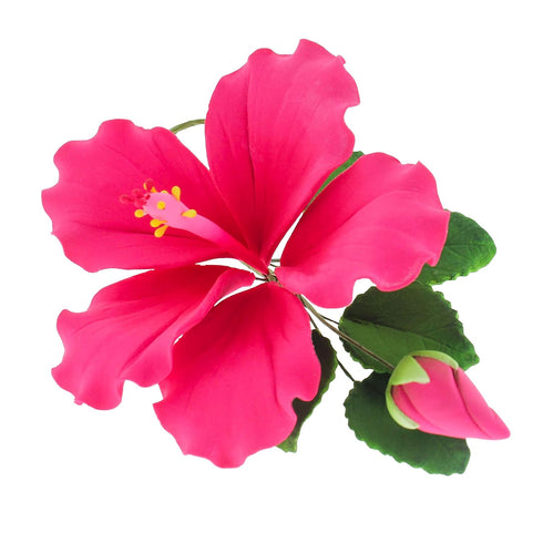 Global Sugar Art Hibiscus Sugar Cake Flowers Spray, Hot Pink Hawaiian Cake Flower Large, 1 Count by Chef Alan Tetreault...