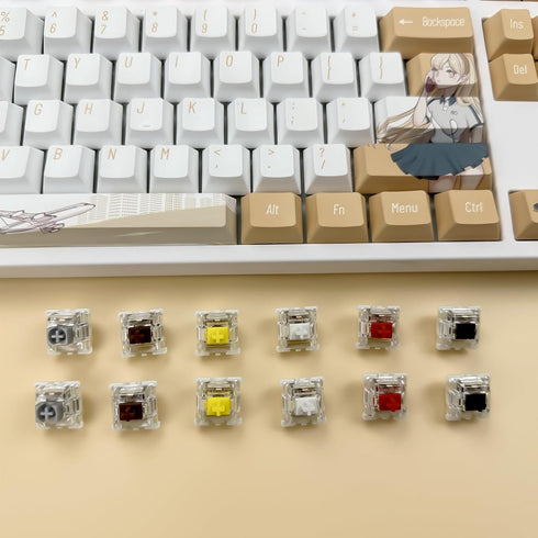 Gateron G Pro 3.0 Brown Switches for Mechanical Keyboard,5-Pin 55gf Tactile/Pre Lubed/Pin stronger/RGB Switches(36pcs,Brown,5-Pin)...
