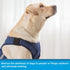 Dog Anxiety Vest, Comfort Dog Anxiety Relief Jacket, Breathable Shirts for Dogs, Soft Dog Anxiety Coat Vest, Puppy Anxiety Warp Calming Shirt for ...