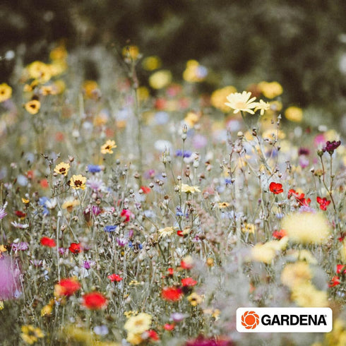Gardena 01951-20 difusor Classic Para el pequeñas extensiones de jardín. Superficie máx.de riego : 100 m2 Aspersor, Estándar...