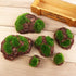 6Pcs Foam Moss Green Hay Stone DIY Family Garden Decoration Vase Glass Moss Miniature Landscape Artificial Plant...