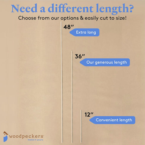 Wood Square Dowel Rods 1/8 inch x 12 Pack of 50 Wooden Craft Sticks for Crafts and Woodworking by Woodpeckers...