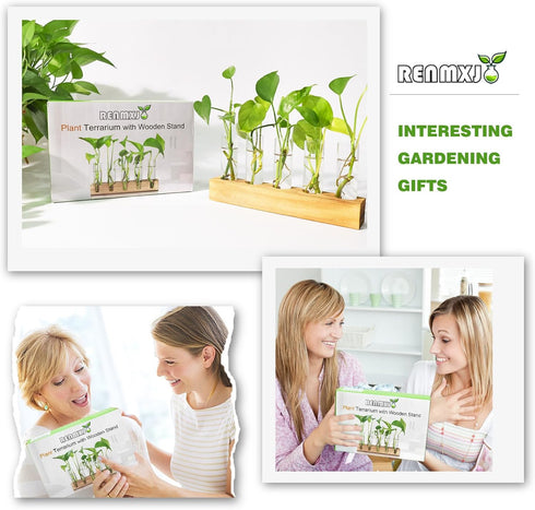 Plant Propagation Station, Plant Terrarium with Wooden Stand for Hydroponics Plants Office Decor Unique Gardening Gifts for Women Plant Lovers - 5...