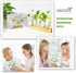 Plant Propagation Station, Plant Terrarium with Wooden Stand for Hydroponics Plants Office Decor Unique Gardening Gifts for Women Plant Lovers - 5...