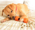 Friends Forever Dog Chew Toy, Interactive Treat Dispensing Toys, Dog Puzzle Fun Indoor Play, Non-toxic Durable Natural Rubber, Pink/Orange 2 Piece...