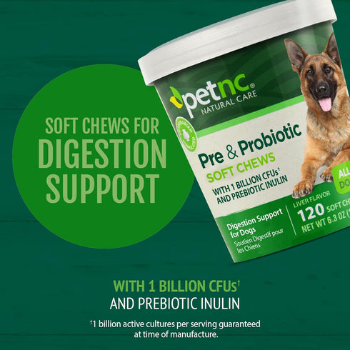 PetNC Natural Care Liver Flavor,Cheese Pre & Probiotic Soft Chews for Dog 120 ct (Pack of 1) (Packaging may vary)...
