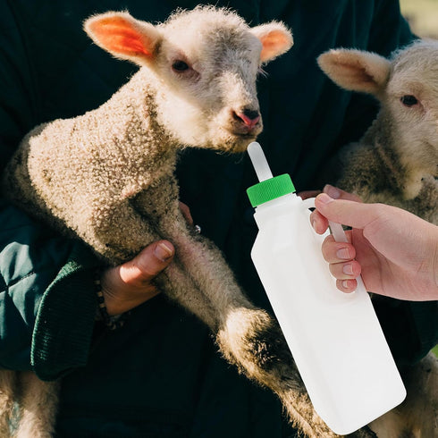 1 Set Lamb Feeding Bottle Lamb Feeding Tools Goat Feeding Bottle Pig Feeding Bottle Calves Bottle Sheep Milk Feeder Lamb Kids Bottle Goat Milk Bot...