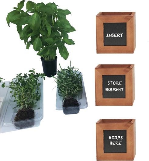 ZESTIGREENS Indoor Herb Pots for Herbs, Succulents, or Small Plants. 3 x Indoor Plant pots with Waterproof Liner Included....