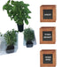 ZESTIGREENS Indoor Herb Pots for Herbs, Succulents, or Small Plants. 3 x Indoor Plant pots with Waterproof Liner Included....