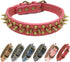 Spiked Studded Dog Collar-Bronze Pointed Stud Anti-Bite Collar (Red,M)...