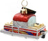Old World Christmas Fisherman Collection Glass Blown Ornaments for Christmas Tree Pontoon...