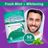 Brightworks ECO Sustainable Floss Picks - 270 Count - Made in USA100% Post-Consumer Recycled Plastic, Super Strong Mint-Flavored Floss with Micro-...