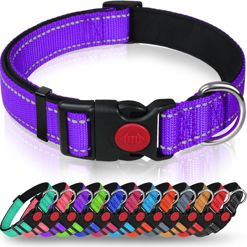 Taglory Reflective Dog Collar with Safety Locking Buckle, Adjustable Nylon Pet Collars for Puppy Dogs, XS, Purple...