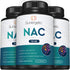 Premium NAC Supplement N-acetyl Cysteine – 750mg Per Capsule – Supports Liver, Detox Immune, Cellular & Respiratory Health – 90 N acetyl Cysteine ...