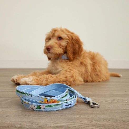 Vera Bradley Women's Recycled Lighten Up Water-repellent Adjustable Pet Collar, Tennis Ball Dots, Small...