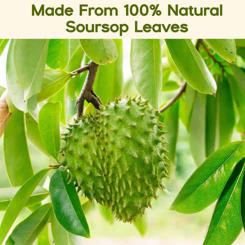 30 Pure Soursop Leaves Tea Bags, Natural Soursop Graviola Leaves Teabag, Handmade Made of Premium Guanabana Leaves, Pleasant Taste Natural Flavor,...