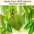 30 Pure Soursop Leaves Tea Bags, Natural Soursop Graviola Leaves Teabag, Handmade Made of Premium Guanabana Leaves, Pleasant Taste Natural Flavor,...
