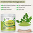 Moringa Leaf Powder - Freeze Dried & True Green 100% Pure Moringa Leaves Powder - Single Origin Organic Moringa Oleifera Leaf with Essential Amino...