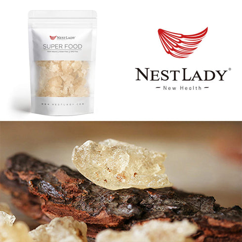 NESTLADY Natural Wild Tragacanth Gum “Snow Swallow” (Xueyan) ???? ?????? 110g / 3.88oz...