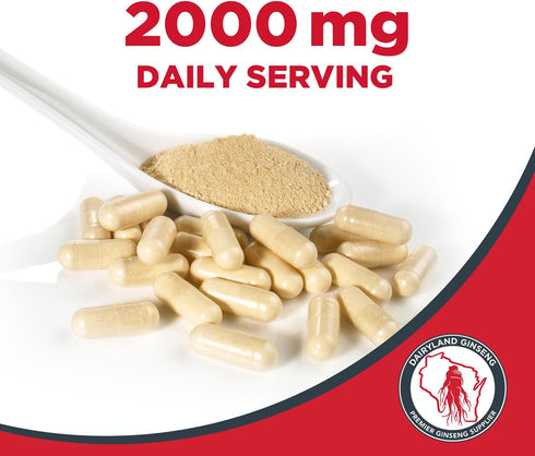 Dairyland American Ginseng Capsules, 75 ct (2000 mg) – Concentrated Wisconsin Ginseng Root Extract – Daily Herbal Supplement for Immune Support...