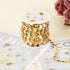 Kyutong 5 Meters Circle Sequins Link Chain Roll Gold Jewelry Chains for Making Jewelry Stainless Steel Chain Bulk with Lobster Clasps and Jump Rin...