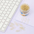 Medium Paper Clips, 200-Count, Paperclips, Gold Paper Clips, 1.3 Inch (32mm) Paper Clip...