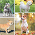 Leather Dog Collar for Puppy Small Medium Dogs, Adjustable Star and Moon Studded Pet Collars with Rust-Proof Metal Buckle and Charms, XS S Dog Col...