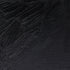 Winsor & Newton Artists' Oil Color, 200ml (6.75 oz) Tube, Lamp Black...