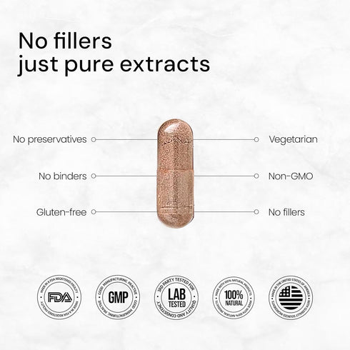 ACEWORKZ 10 Mushroom Complex Supplement - Lion’s Mane, Reishi, Cordyceps & More - Brain Health, Memory & Focus Nootropic - Energy & Immune Support...