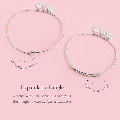 Alex and Ani Divine Guides Expandable Bangle Bracelet for Women, Saint Anthony of Padua Charm, Rafaelian Finish, 2 to 3.5 in...