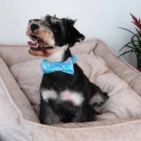ARING PET Flamingo Dog Collar-Cotton Dog Collar with Bow, Adjustable Summer Bowtie Dog Collars Pet Collars with Metal Buckle...