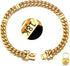 18K Engraved Dog Collar Gold Metal Stainless Steel with Bone Lock 14mm Gold Big Dog Luxury Training Collar Cuban Link Necklace Chain with Bell...