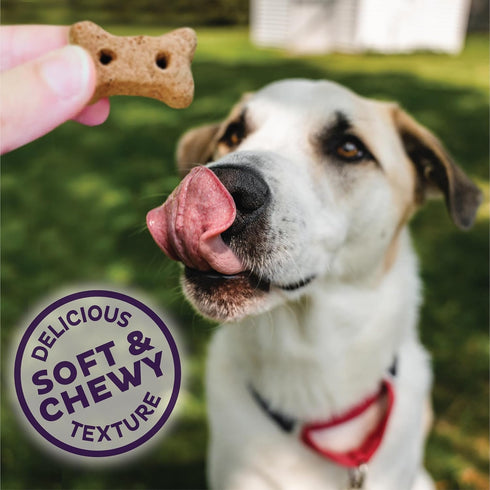 Old Mother Hubbard by Wellness Soft & Chewy Beef & Sweet Potato Natural Dog Treats, Crunchy Oven-Baked Biscuits, Ideal for Training, Mini Size, 8 ...