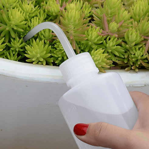 Wash Bottle 2pcs 250ml/8oz Safety Bottles Watering Tools, Economy Plastic Squeeze Washing Cleaning Bottle with Narrow Mouth Scale Labels for Medic...